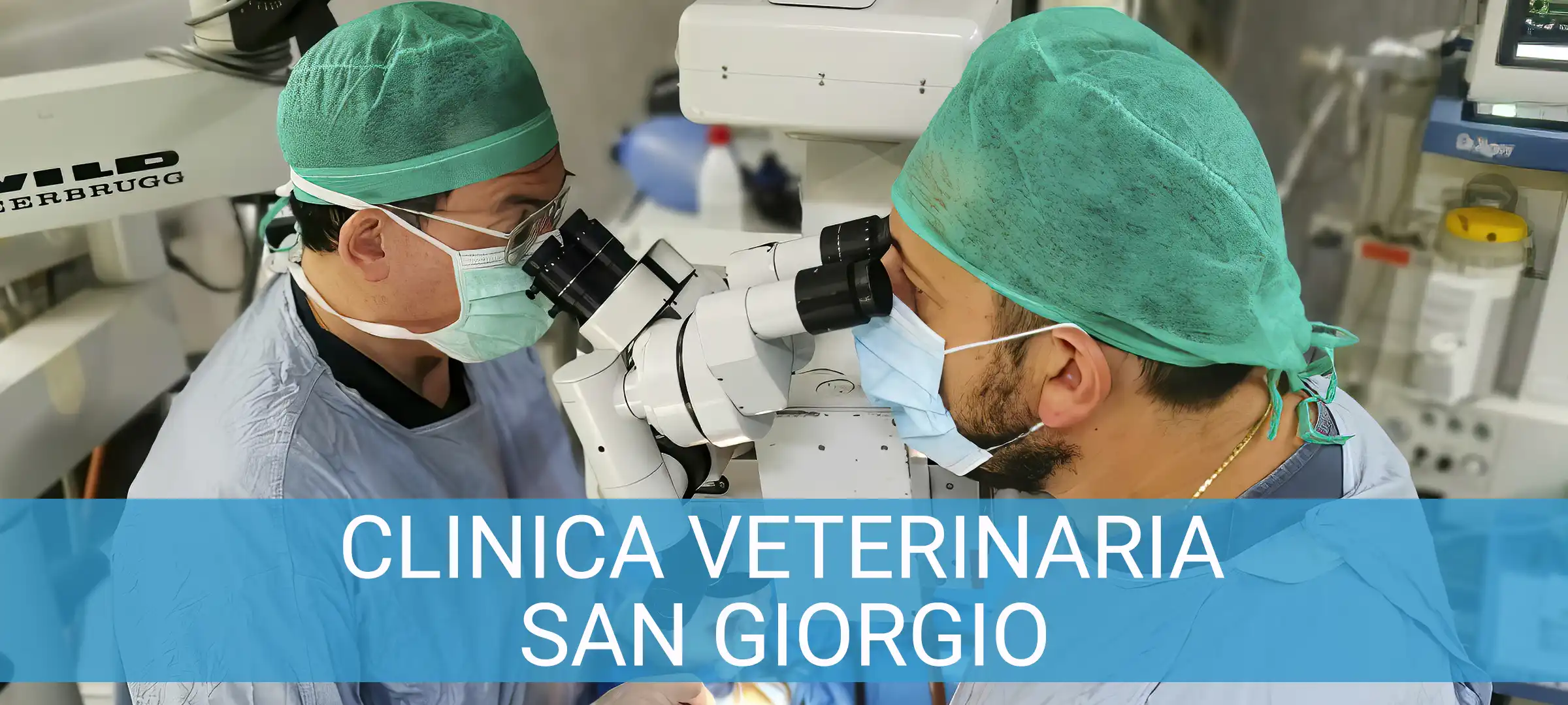 Clinica Veterinaria San Giorgio a Reggio Calabria Clinica Veterinaria San Giorgio a Reggio Calabria